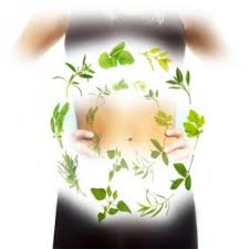digestion